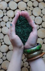 Bienfaits de la spiruline